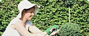 garden hire